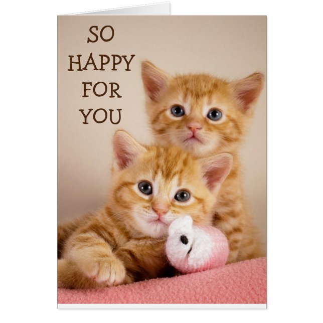 FÉLICITATIONS DE "KITTENS" SUCRÉES POUR VOTRE "ADO (Devant)