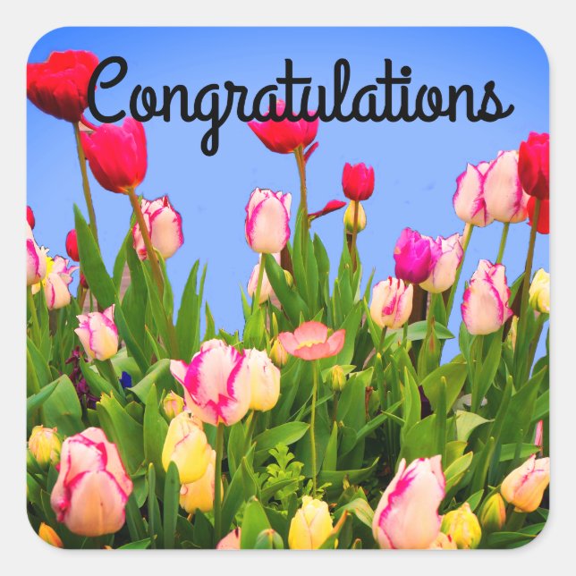 Félicitations Diverses Tulipes Stickers #3 (Devant)