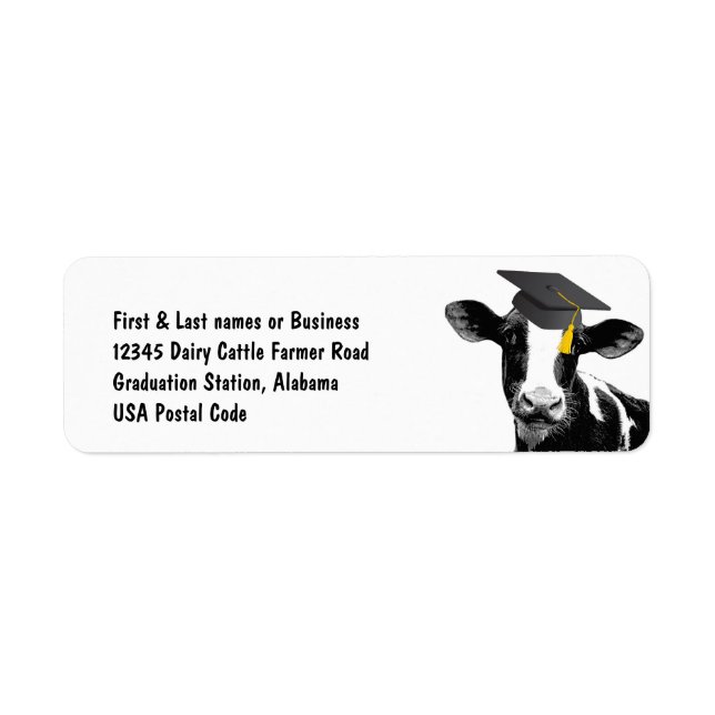 Félicitations Graduation Funny Cow en Casquette (Devant)
