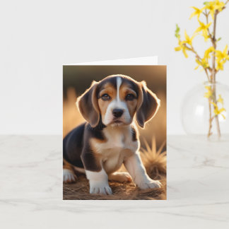 Félicitations pour votre nouvelle carte beagle