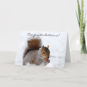 Félicitations Squirrel Carte de voeux