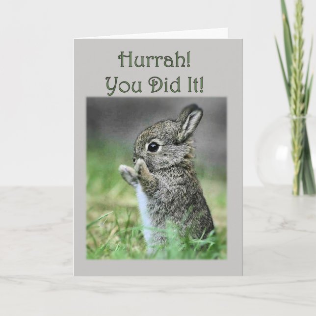 Félicitations, votre carte de lapin pour bébé dipl (Devant)