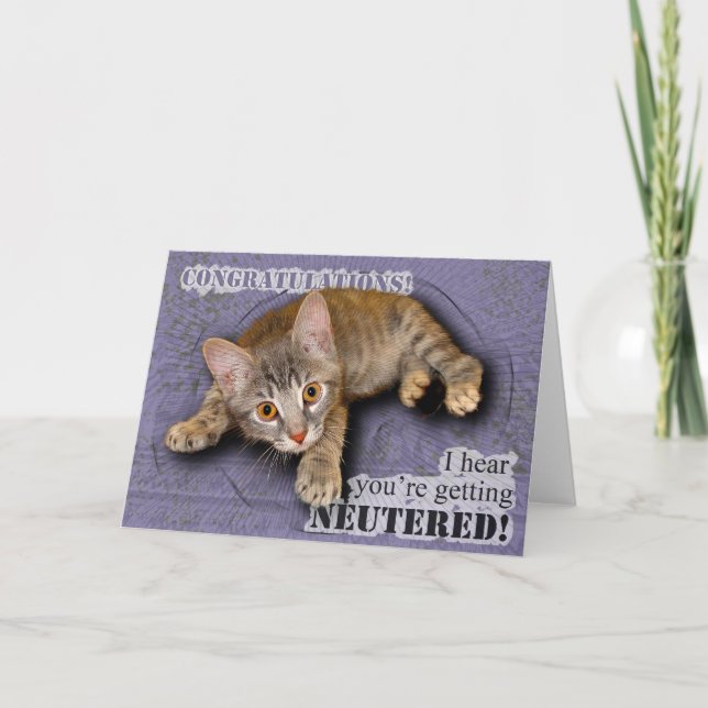 Félicitations ! Vous êtes changés ! Carte (Devant)