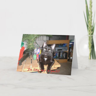 Feline 6-Pack Holiday Card