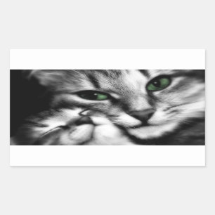 Feline Affection Sticker