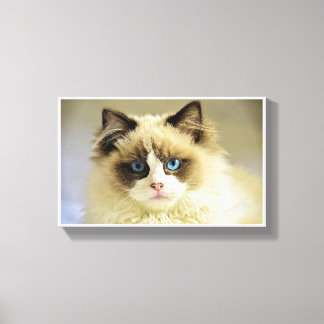 Feline Canvas Print