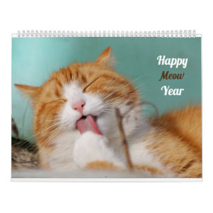 feline Cute Funny Cats Adorable Kitten Pet Photos Calendar