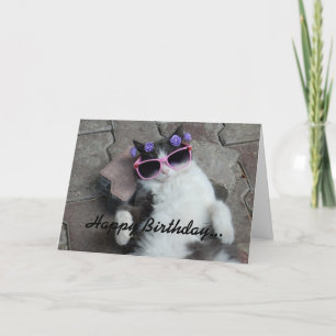 Feline Diva Birthday Card