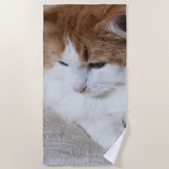 (Feline Fancy) Kitty Contemplation: Cat Photo Beach Towel (Front)