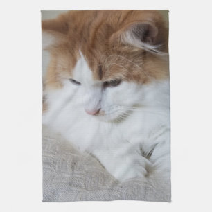 (Feline Fancy) Kitty Contemplation: Cat Photo Kitchen Towel