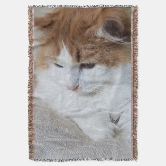 (Feline Fancy) Kitty Contemplation: Cat Photo Throw Blanket (Front Vertical)