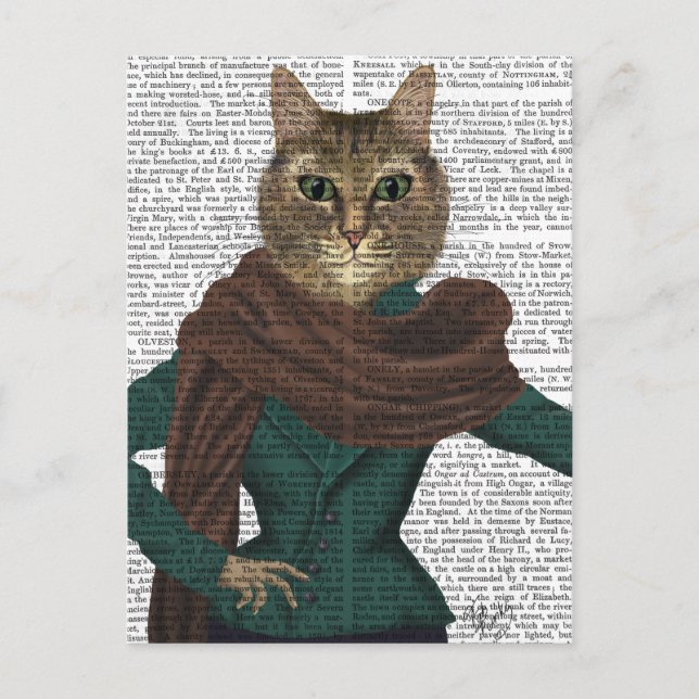 Feline Fashionista Postcard (Front)