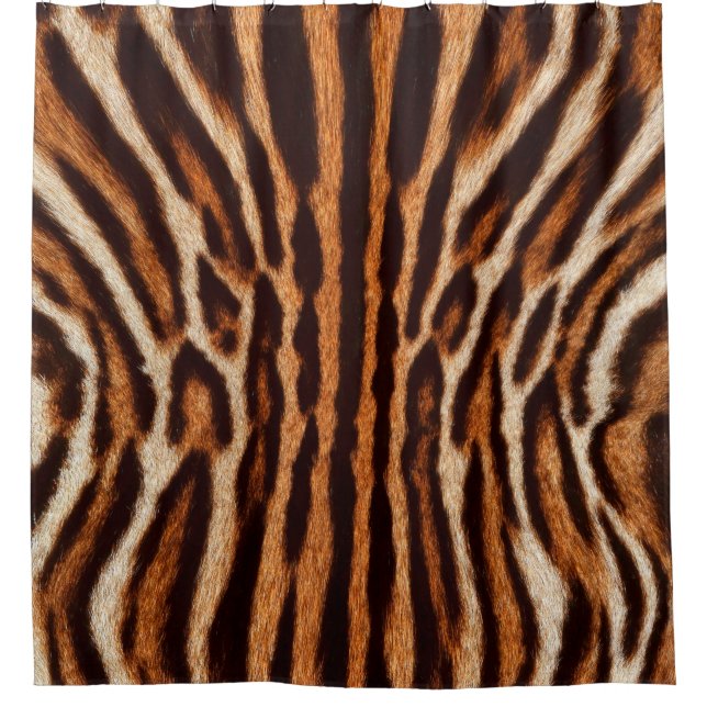 feline fur background (Front)