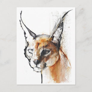 Feline Postcard
