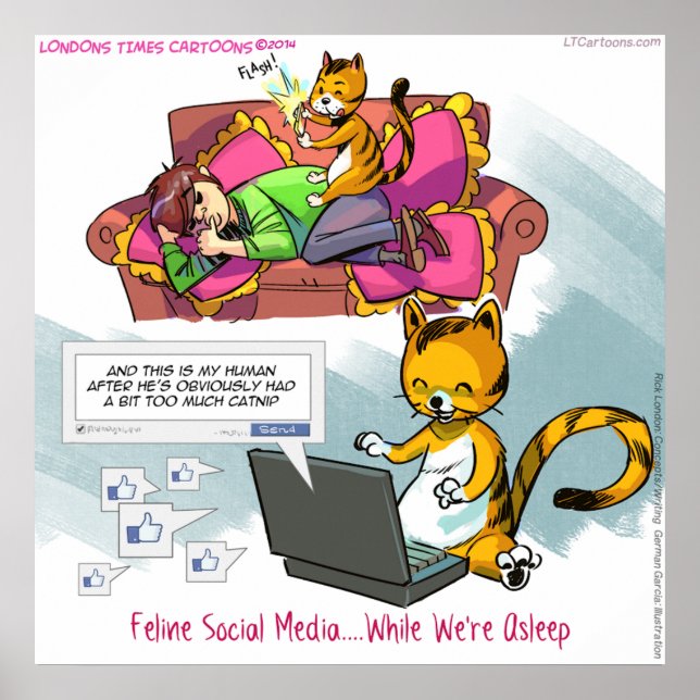 Feline Social Media Funny Poster (Front)