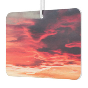 feline wave air freshener