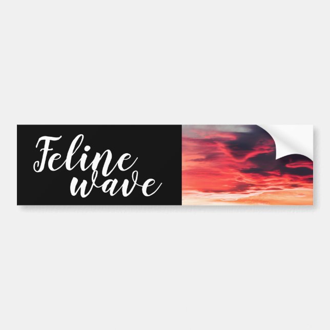 feline wave bumper sticker (Front)