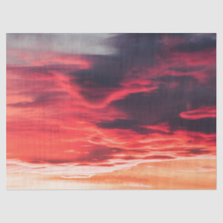 feline wave tissue paper