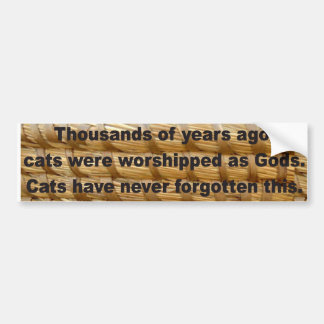 Feline Worship Bumper Sticker