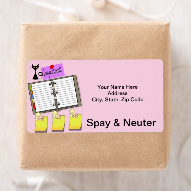 Felines Spy & Neuter Cat Kitten Étiquettes (En situation)