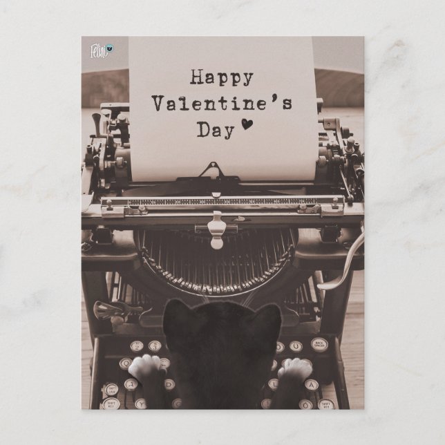 Felini Cat Typing Happy Valentine's Day - Holiday Postcard (Front)