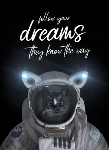 Follow Your Dreams Posters Prints Poster Printing Zazzle Ca