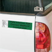 Felis Infernus Dagorhir Bumper Sticker (On Truck)