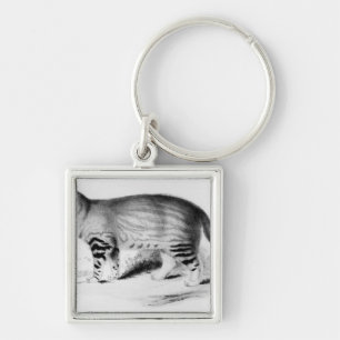 Felis Pajeros, plate 9 Keychain