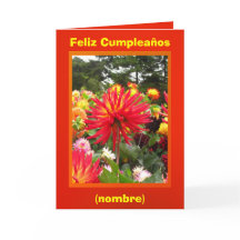 Feliz Cumpleaños - Las Dalias Rojas y Amarillas