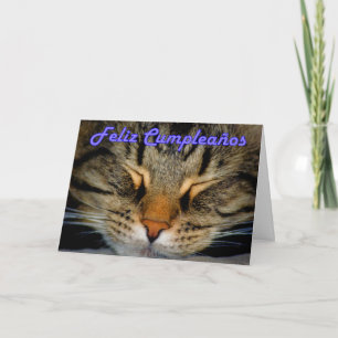 Feliz Cumpleaños Spanish Birthday with kitty cat Card