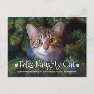 Feliz Naughty Cat Funny Personalized Pet Photo Holiday Postcard