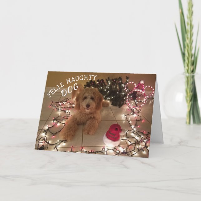 Feliz Naughty Dog - Carte de Noël (Devant)