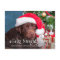Feliz Naughty Dog Funny Personalized Pet Photo Hol