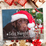 Feliz Naughty Dog Funny Personalized Pet Photo Holiday Postcard<br><div class="desc">Feliz Naughty Dog! Send cute and fun holiday greetings with this super cute personalized custom pet photo holiday card. Merry Christmas wishes from the dog with cute paw prints in a fun modern photo design. Add your dog's photo or family photo with the dog, and personalize with family name, message...</div>
