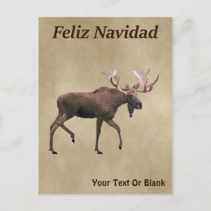 Feliz Navidad - Bull Moose On Old Paper Postcard