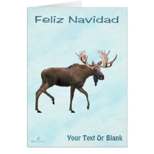 Feliz Navidad - Bull Moose On Snow