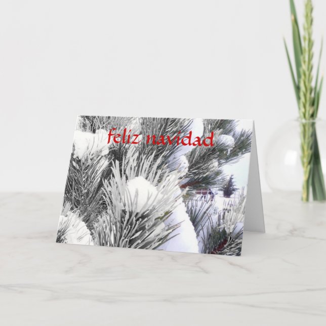 Feliz Navidad Caballo en Nieve - Spanish Christmas Holiday Card (Front)