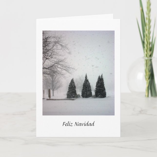 Feliz Navidad Card (Front)