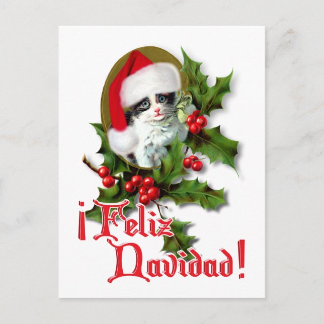 Feliz Navidad - Christmas Kitten Holiday Postcard (Front)