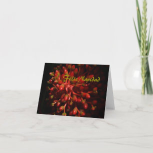 Feliz Navidad Holiday Card