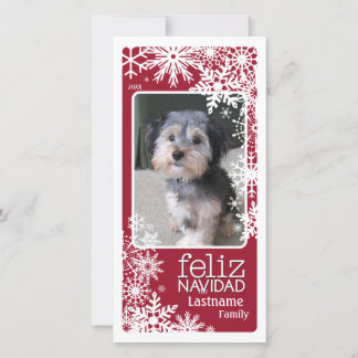 Feliz Navidad -  Let It Snow! Holiday Card