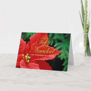 Feliz Navidad - Red Poinsettia and Fir Bow Holiday Card