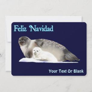 Feliz Navidad - Ringed Seal Holiday Card