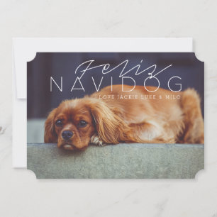 Feliz Navidog   Holiday Photo