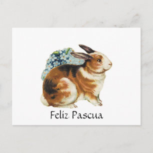 Feliz Pascua  , Happy Easter  in spanish Holiday Postcard