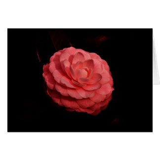 "Fellowship On The Path"