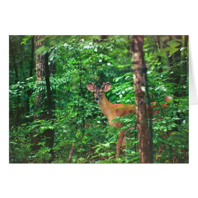 "Fellowship On The Path" (Front Horizontal)