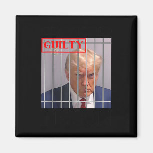 Felon Donald Trump Guilty Lock Him Up Trump Prison Magnet