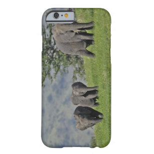 Female African Elephant with baby, Loxodonta 2 Barely There iPhone 6 Case
