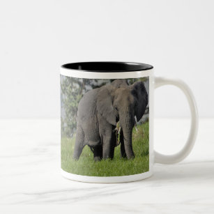 Female African Elephant with baby, Loxodonta 2 Two-Tone Coffee Mug